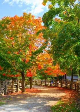 Beautiful Nature Toronto 