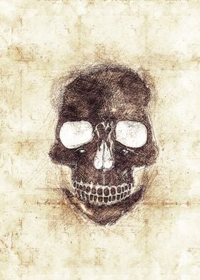 Skull 