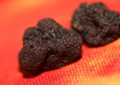 Black truffles close up