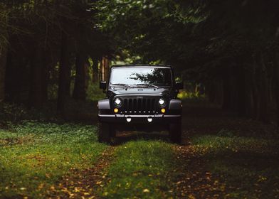 Jeep Wrangler in nature