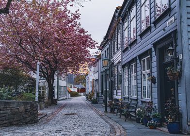 Cherry Tree Road Bergen