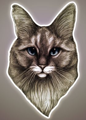 Tabby Cat Portrait