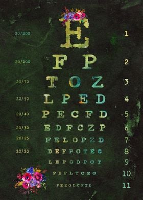 Eye Chart Diagram 