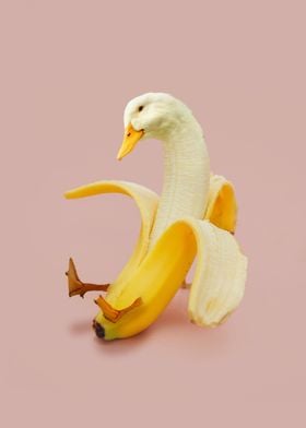 Banana Goose