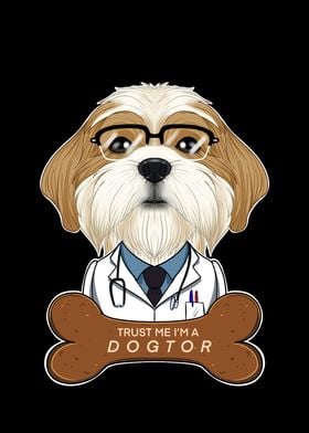 Veterinary Shih Tzu Dogtor