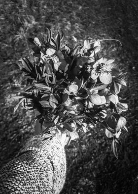 Pulsatilla bouquet