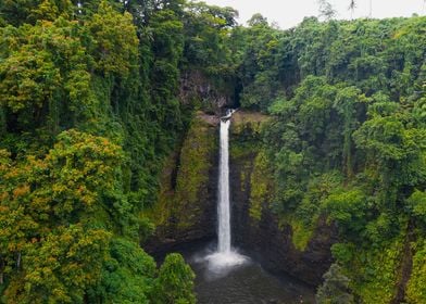 Sopoaga falls Samoa