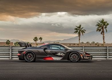 McLaren Senna