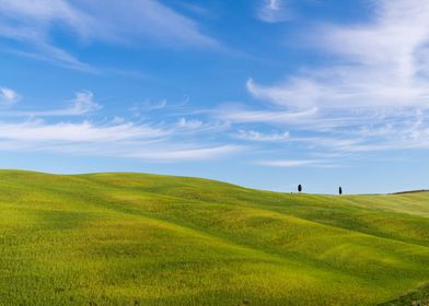 Minimal trees in Tuscany