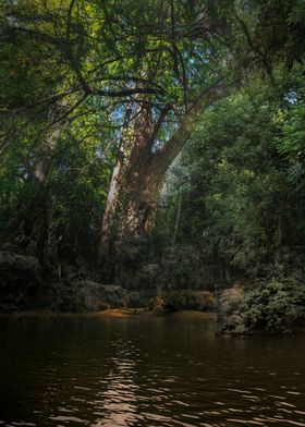 Green Lake