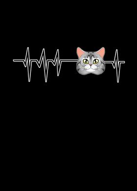 Cat Heartbeat I American