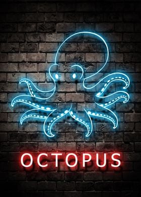 Animal Octopus