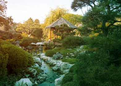 Jardin Japonais