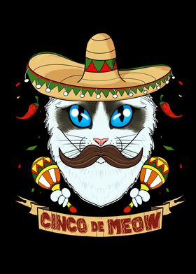 Cinco de Mayo Ragdoll Cat