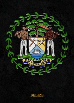 Arms of Belize