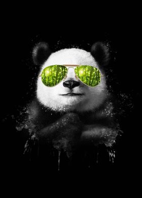 Cool Panda 