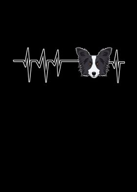 Heartbeat Border Collie