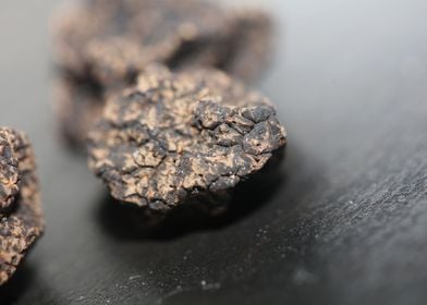 Summer wild black truffles