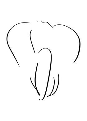 Elephant Line Art Minimal