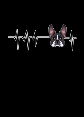 Heartbeat Boston Terrier