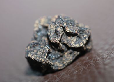 Black truffles close up