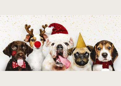 Funny Puppies Christmas