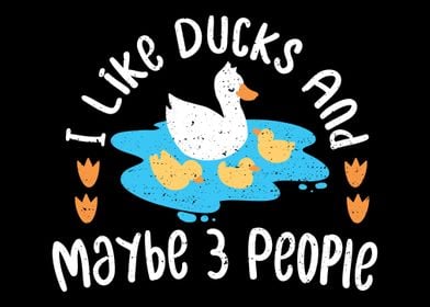 I Like Ducks And Maybe 3 P