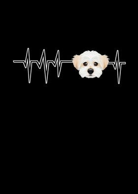 Dog Heartbeat Maltese