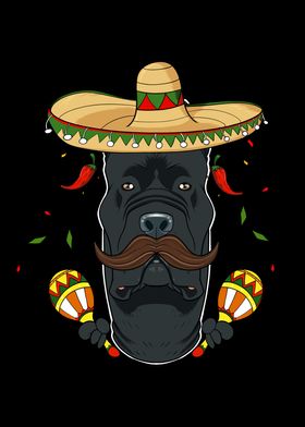 Cinco De Mayo Cane Corso