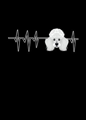 how fast does a poodles heart beat