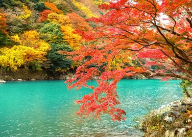 Arashiyama in autumn seaso