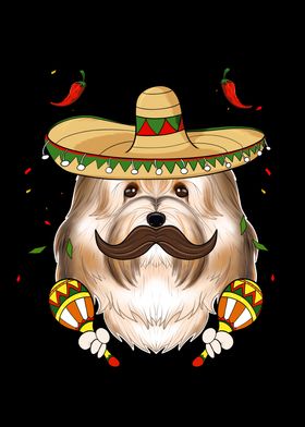 Cinco De Mayo Havanese