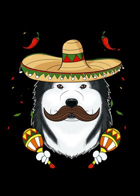 Cinco De Mayo Husky