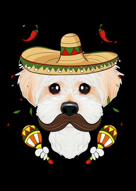 Cinco De Mayo Maltese