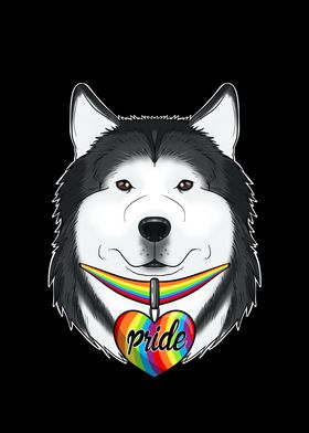 Husky LGBTQ Flag I Gay