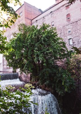 Waterfall in the Summer