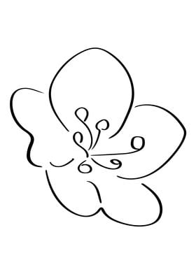 Blossom Line Art Minimal