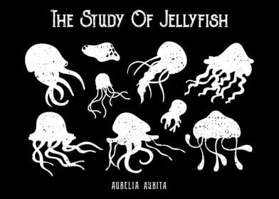 The Study Of Jellyfish