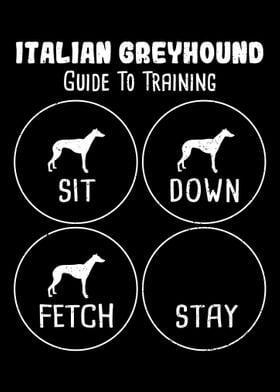 Italian Greyhound Guide To