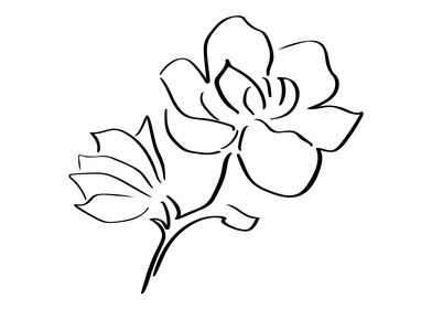 Magnolia Line Art Minimal