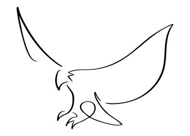 Eagle Line Art Minimal