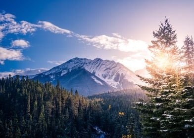 Mountains Trees Nature