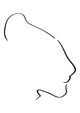 Lioness Line Art Minimal