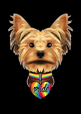 Yorkshire Terrier LGBTQ