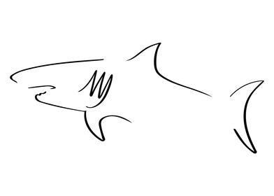 Shark Line Art Minimal