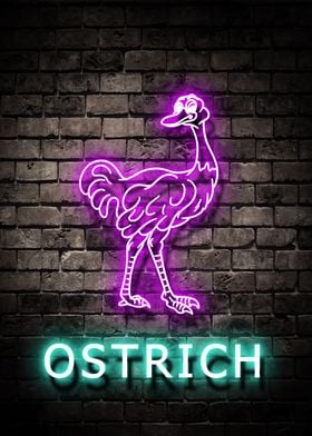 Ostrich Animal