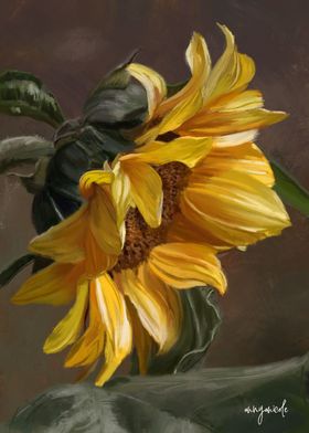 Cinematic Sunflower