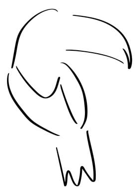 Toucan Line Art Minimal