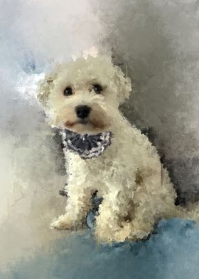 Maltese pet dog portrait