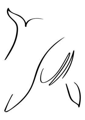 Whale Line Art Minimal